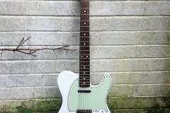 Tele_Strat-Hals_1